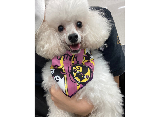 生徒が撮影したモデル犬♪～PART①～